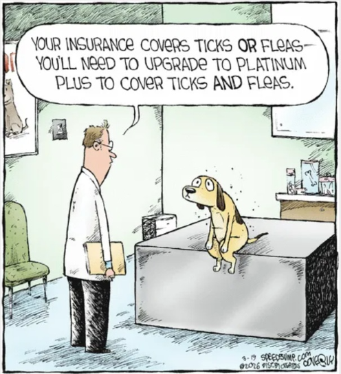 dog insurrance.png